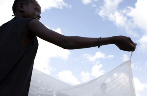quality mosquito nets
