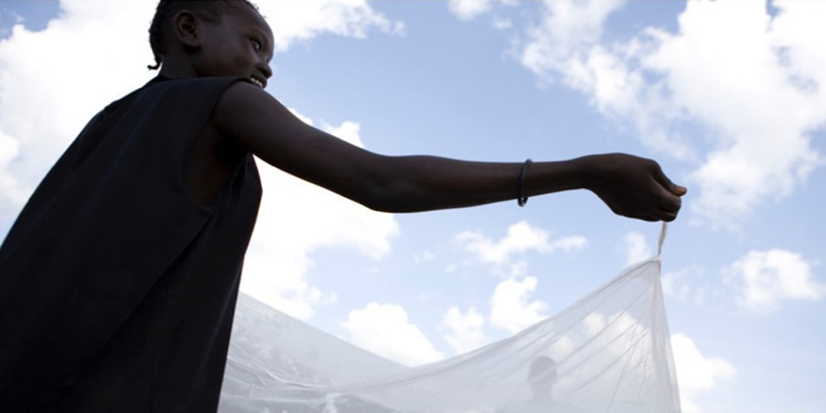 quality mosquito nets